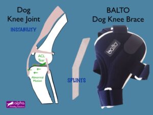 balto bt jump