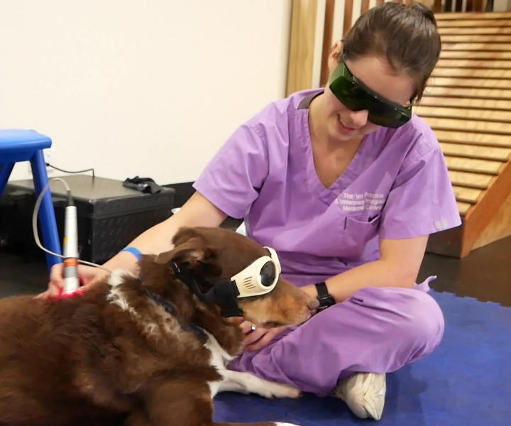 doggles for laser therapy