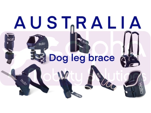 Dog Leg Brace Australia knee ACL