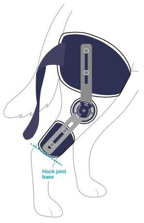 Balto – Adjustable Hinged Dog Knee Brace – BT LIGATEK